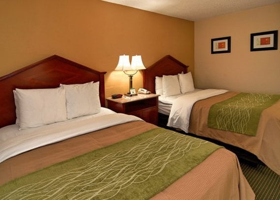 Hotel Comfort Inn Columbia  | Columbia | South Carolina | United States 13