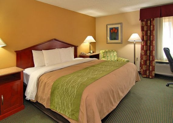 Hotel Comfort Inn Columbia  | Columbia | South Carolina | United States 3