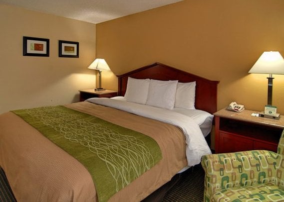 Hotel Comfort Inn Columbia  | Columbia | South Carolina | United States 5
