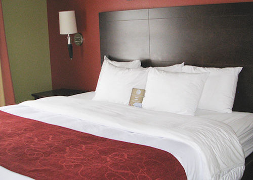 Hotel Comfort Suites East Knoxville  | Knoxville | Tennessee | United States 12