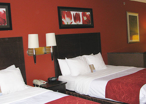 Hotel Comfort Suites East Knoxville  | Knoxville | Tennessee | United States 13