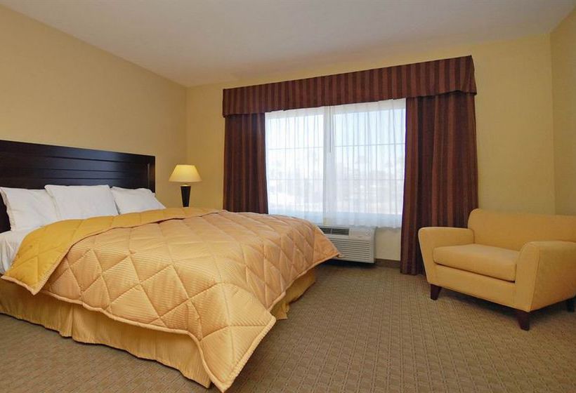 Hotel Comfort Inn & Suites Downtown Mesa  | Mesa | Arizona | United States 15
