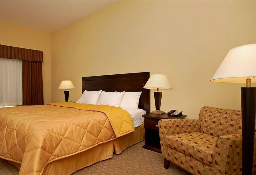 Hotel Comfort Inn & Suites Downtown Mesa  | Mesa | Arizona | United States 8