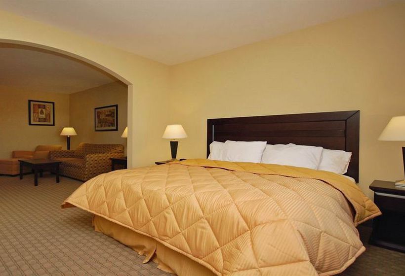 Hotel Comfort Inn & Suites Downtown Mesa  | Mesa | Arizona | United States 9
