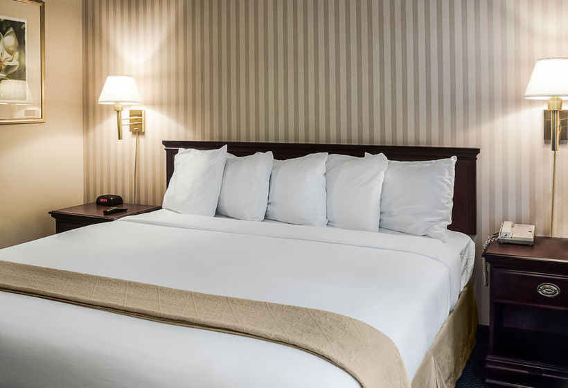 Hotel Quality Suites Lake Wright  | Norfolk | Virginia | United States 17