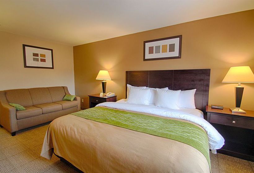 Hotel Comfort Inn Near Plano Medical Center  | Plano | Texas | United States 1