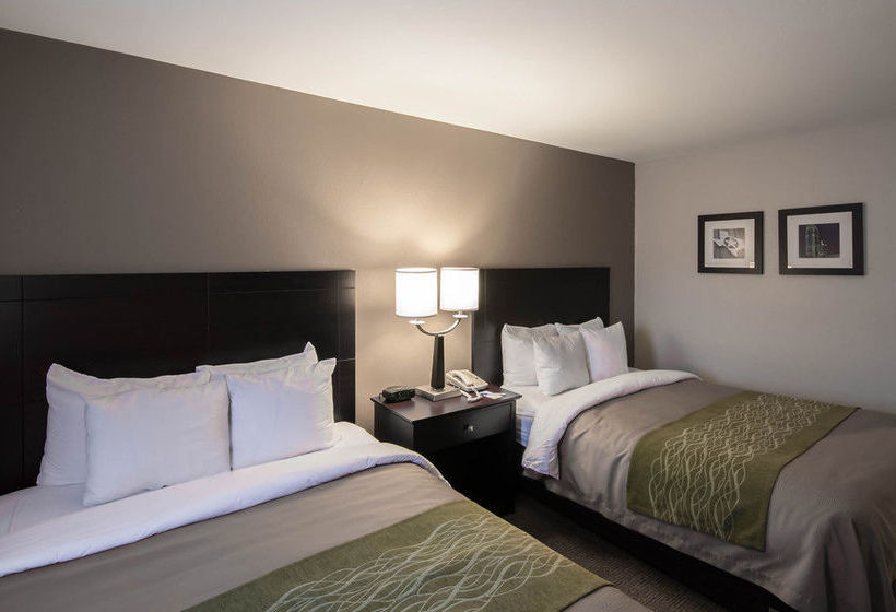 Hotel Comfort Inn Near Plano Medical Center  | Plano | Texas | United States 10