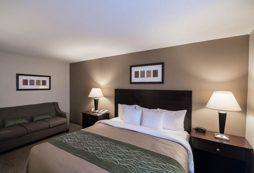 Hotel Comfort Inn Near Plano Medical Center  | Plano | Texas | United States 11