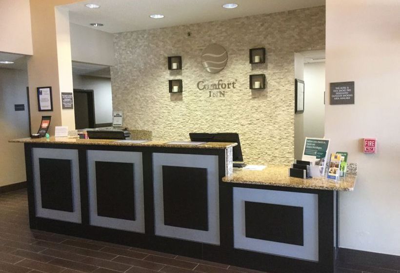 Hotel Comfort Inn Near Plano Medical Center  | Plano | Texas | United States 12