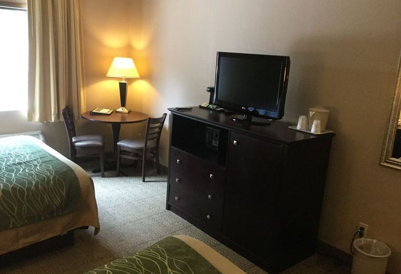 Hotel Comfort Inn Near Plano Medical Center  | Plano | Texas | United States 13