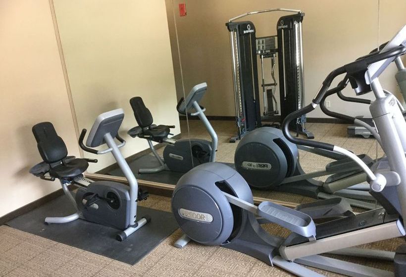 Hotel Comfort Inn Near Plano Medical Center  | Plano | Texas | United States 15