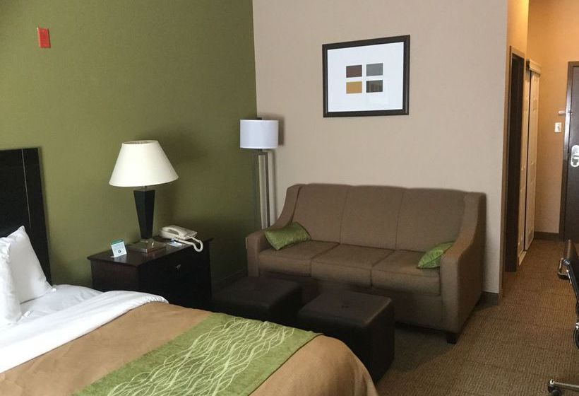 Hotel Comfort Inn Near Plano Medical Center  | Plano | Texas | United States 19