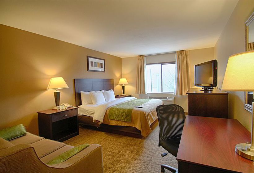 Hotel Comfort Inn Near Plano Medical Center  | Plano | Texas | United States 3