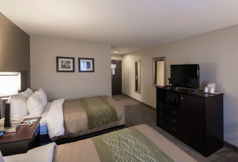 Hotel Comfort Inn Near Plano Medical Center  | Plano | Texas | United States 8