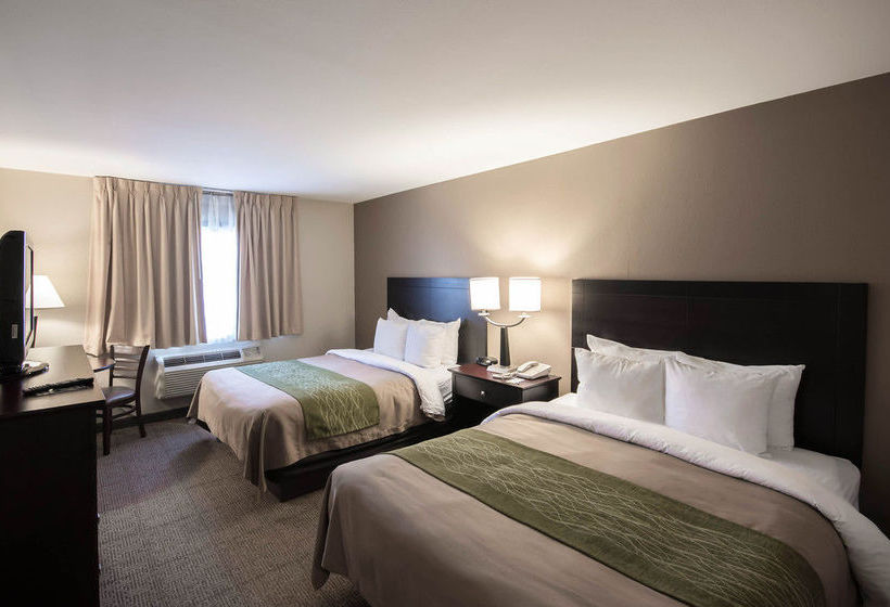 Hotel Comfort Inn Near Plano Medical Center  | Plano | Texas | United States 9