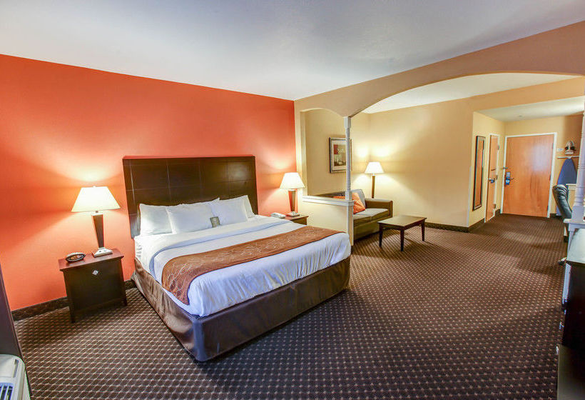 Hotel Comfort Suites At Rivergate Mall  | Goodlettsville | Tennessee | United States 15