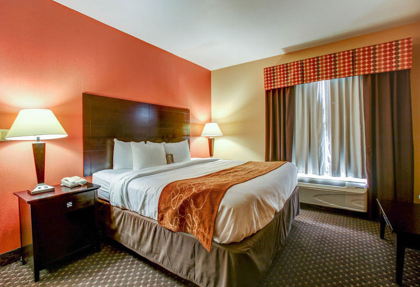 Hotel Comfort Suites At Rivergate Mall  | Goodlettsville | Tennessee | United States 19