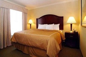 Hotel Comfort Suites Cincinnati  | Cincinnati | Ohio | United States 2