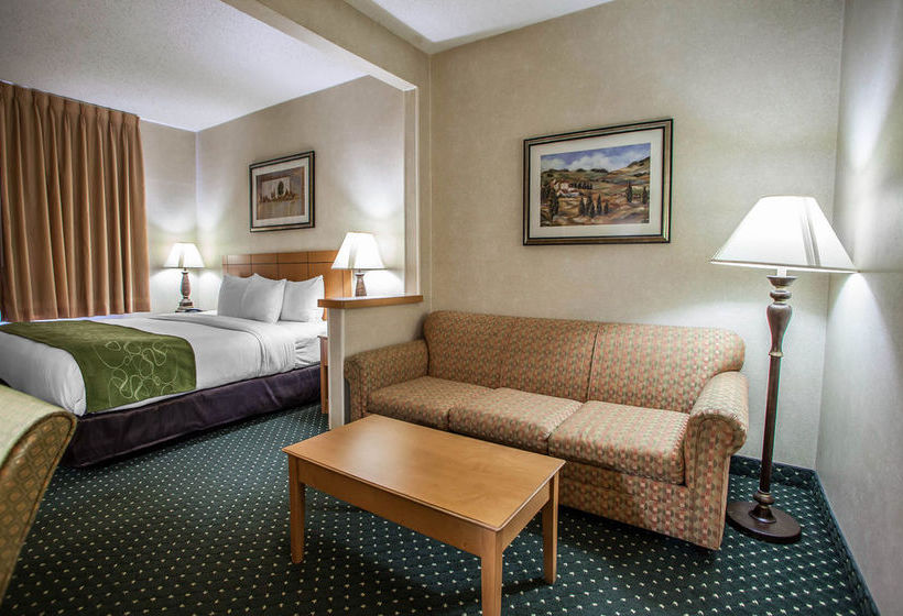 Hotel Comfort Suites Peoria  | Peoria | Illinois | United States 14