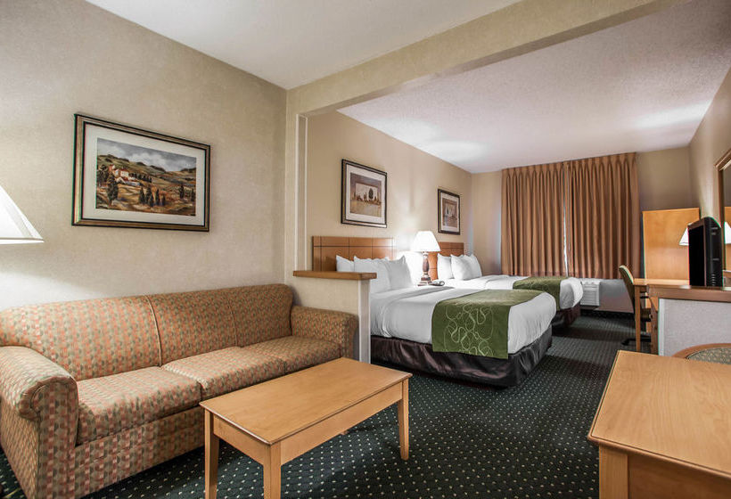 Hotel Comfort Suites Peoria  | Peoria | Illinois | United States 17