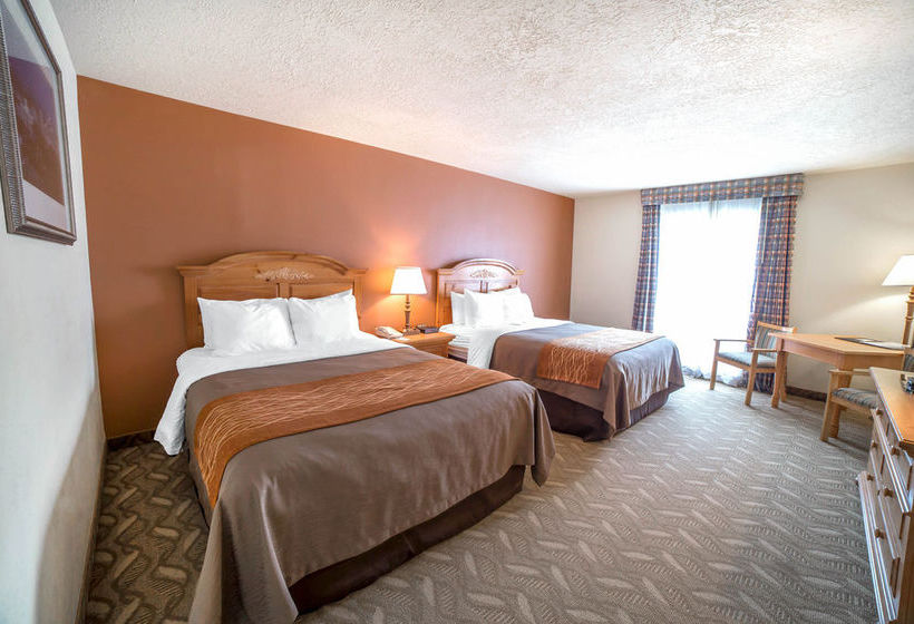 Hotel Comfort Inn Downtown Salt Lake City  | Salt Lake City | Utah | United States 12