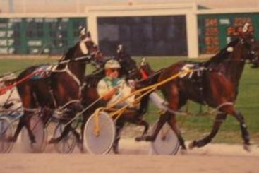 Hotel Best Western Columbus East 