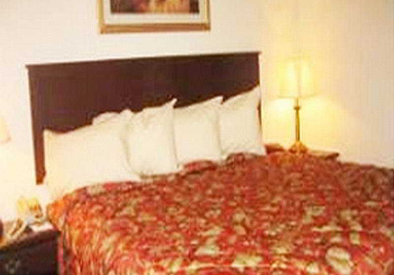 Hotel Hawthorn Suites by Wyndham Charleston  | Charleston | South Carolina | United States 3