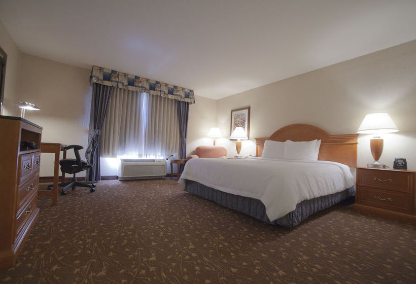 Hotel Hilton Garden Inn Albuquerque Journal Center  | Albuquerque | New Mexico | United States 6
