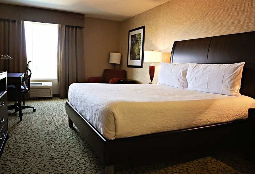 Hotel Hilton Garden Inn St. George  | St George | Utah | United States 7