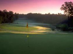 Hotel Hilton Garden Inn St. Louis O'Fallon  | O'Fallon | Missouri | United States 15