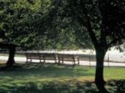 Hotel Hilton Garden Inn St. Louis O'Fallon  | O'Fallon | Missouri | United States 9