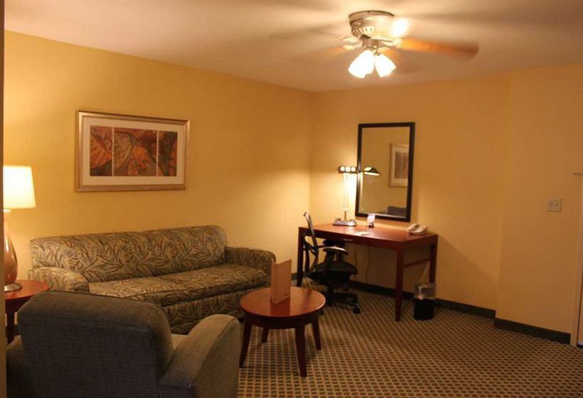 Hotel Hilton Garden Inn Conway  | Conway | Arkansas | United States 14