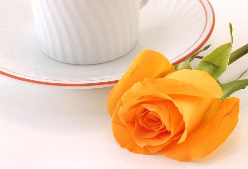 Hotel Hilton Garden Inn Baltimore Inner Harbor  | Baltimore | Maryland | Estados Unidos 15