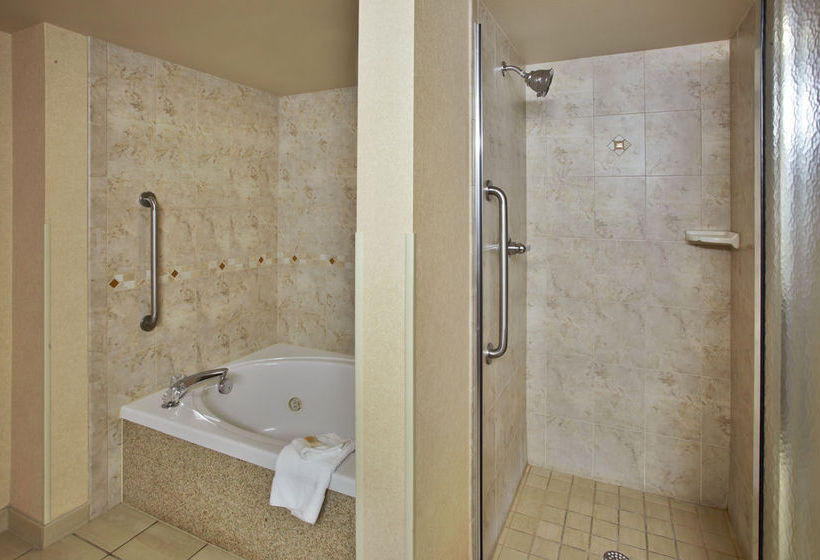 Hotel Holiday Inn Ann Arbor University Michigan Area  | Ann Arbor | Michigan | United States 7