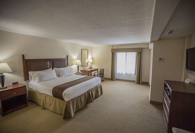 Hotel Holiday Inn Asheville Downtown Asheville