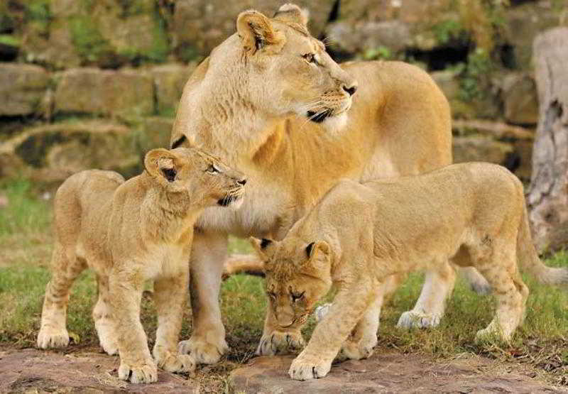 Dallas Fort Worth Marriott Hotel & Golf Club at Champions Circle  | Fort Worth | Texas | United States 20