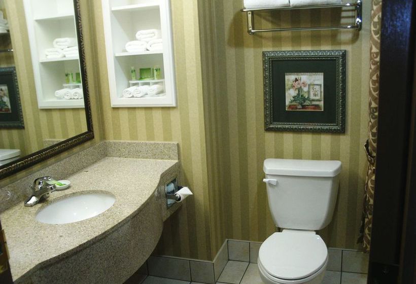 Hotel Holiday Inn Express Lake Worth NW Loop 820  | Fort Worth | Texas | United States 17