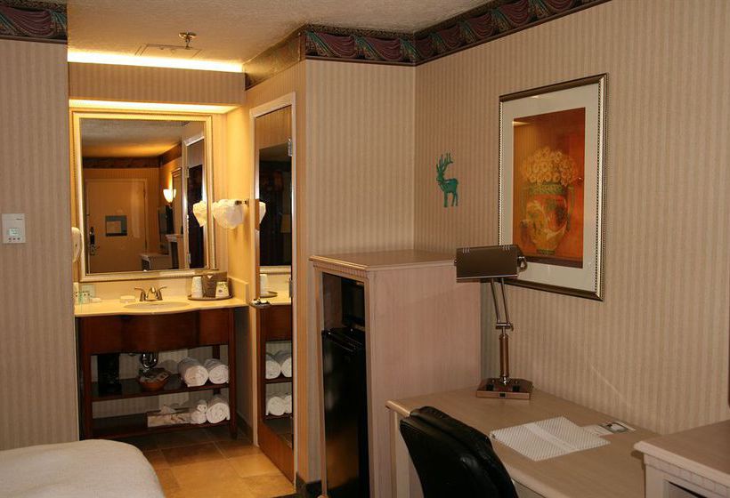 Hotel Super 8 Albuquerque Airport  | Albuquerque | New Mexico | United States 10