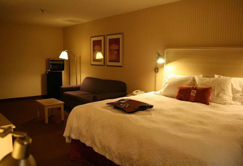 Hotel Super 8 Albuquerque Airport  | Albuquerque | New Mexico | United States 13