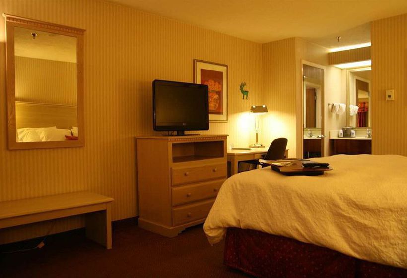 Hotel Super 8 Albuquerque Airport  | Albuquerque | New Mexico | United States 16