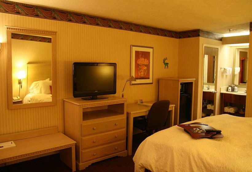 Hotel Super 8 Albuquerque Airport  | Albuquerque | New Mexico | United States 17