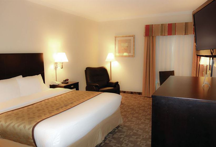 Hotel La Quinta Inn & Suites Garland Harbor Point  | Garland | Texas | United States 8