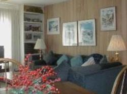 Hôtel Woodbridge Condos  | Snowmass Village | Colorado | Hôtels aux États-Unis 7