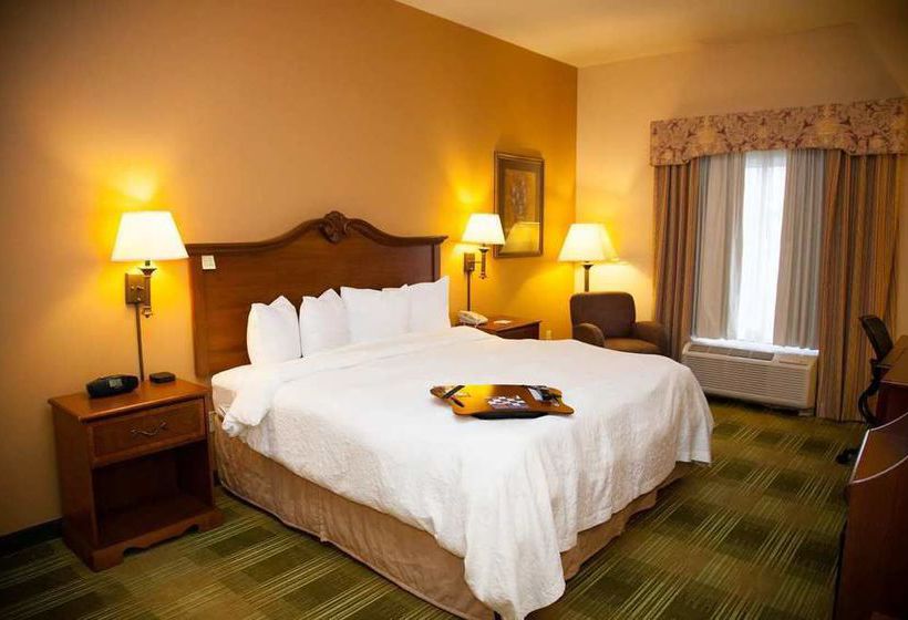 Hotel Hampton Inn Brownwood  | Brownwood | Texas | United States 8