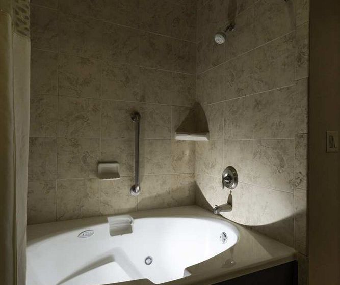 Hotel Hampton Inn & Suites Abilene I-20  | Abilene | Texas | United States 19