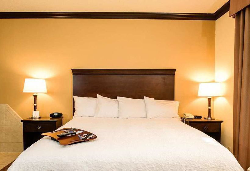 Hotel Hampton Inn Victoria  | Victoria | Texas | Estados Unidos 13