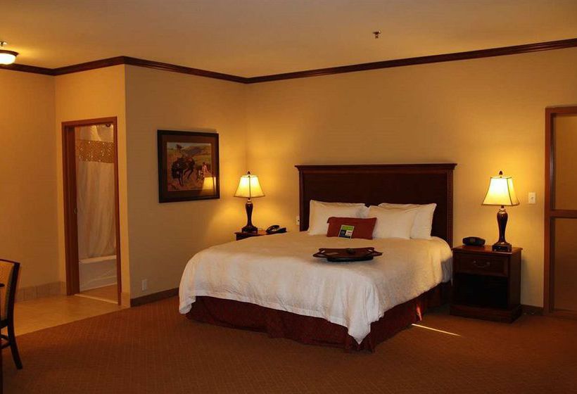 Hotel Hampton Inn & Suites Stephenville  | Stephenville | Texas | United States 14