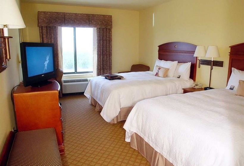 Hotel Hampton Inn & Suites Pharr  | Pharr | Texas | United States 10