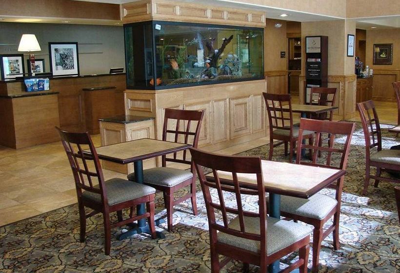 Hotel Hampton Inn & Suites Pharr  | Pharr | Texas | United States 9