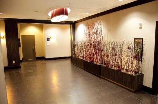 Hotel Holiday Inn Express North Dallas At Preston   | Dallas | Texas | Estados Unidos 20